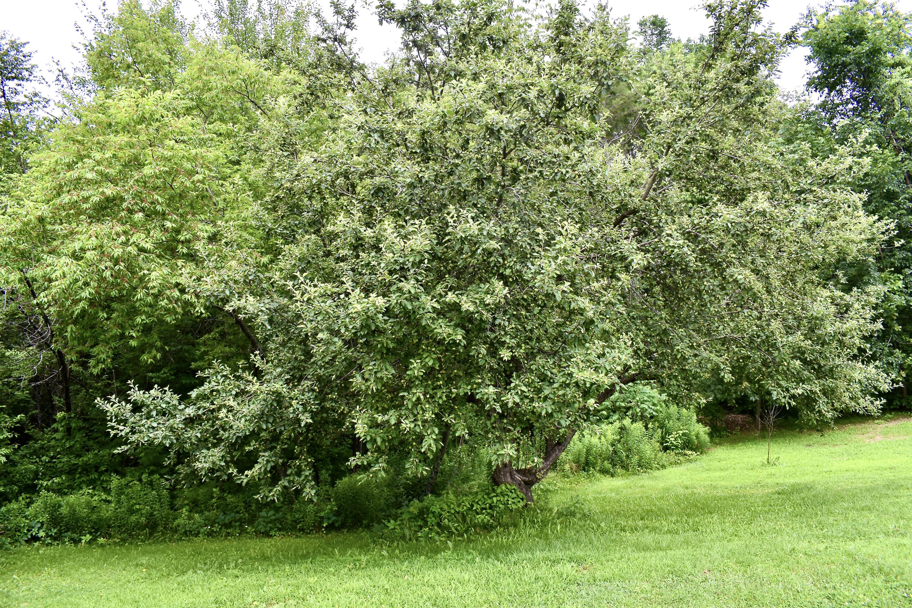 10 Rines Road Burnham ME 04922