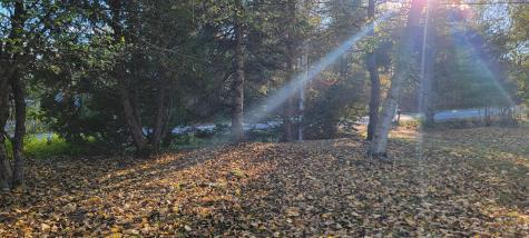 27 King Street Dennysville ME 04628