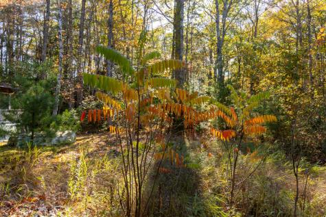 1188 Me-193 Deblois ME 04622