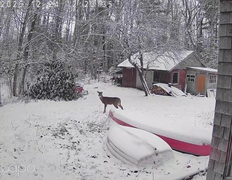 1188 Me-193 Deblois ME 04622