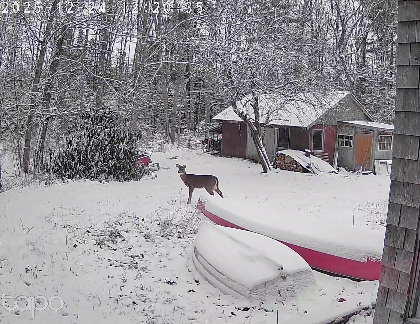 1188 Me-193 Deblois ME 04622