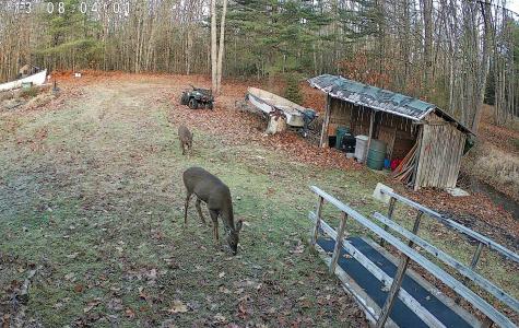 1188 Me-193 Deblois ME 04622
