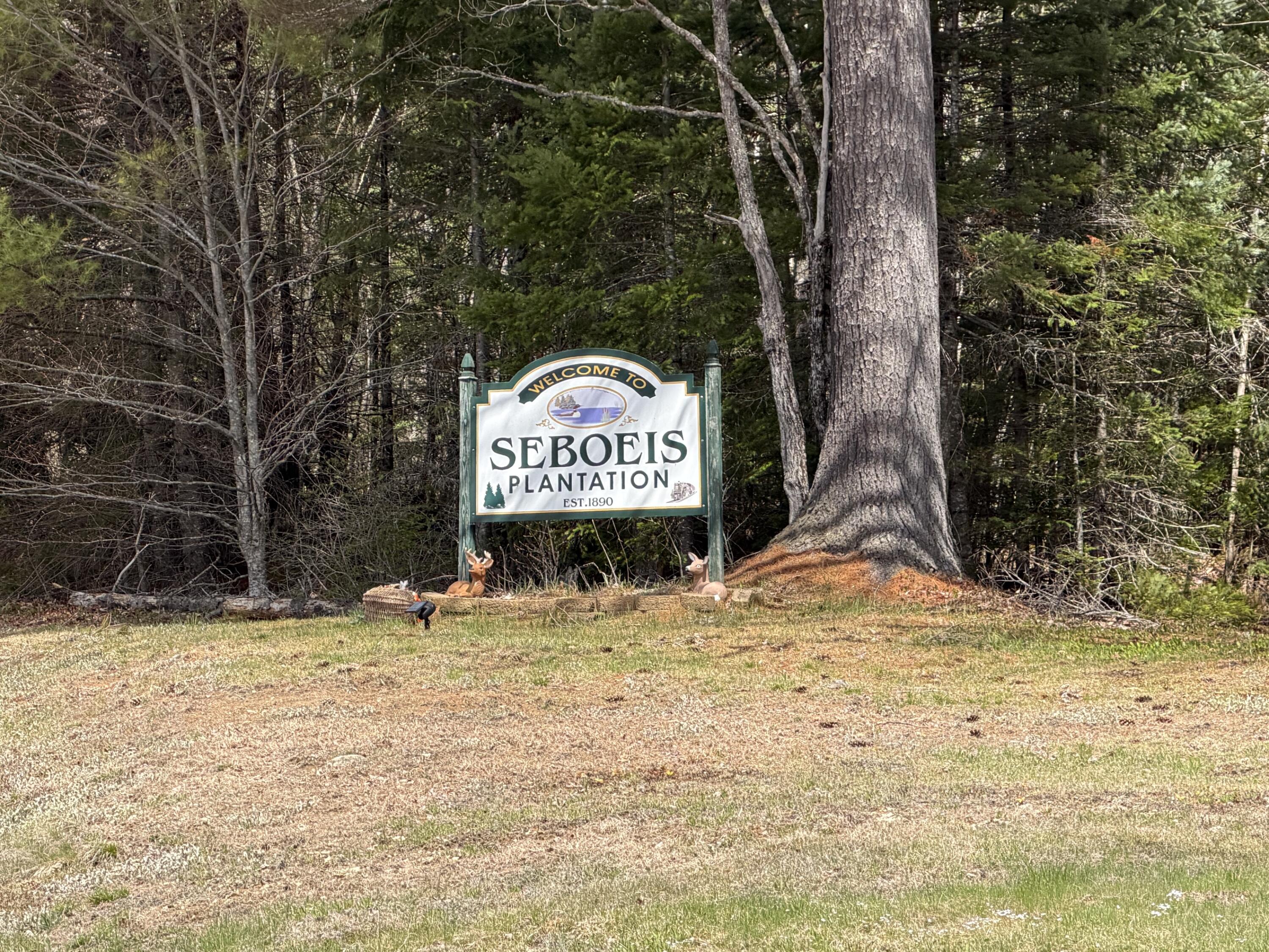 1163 Seboeis Road Seboeis Plt ME 04448