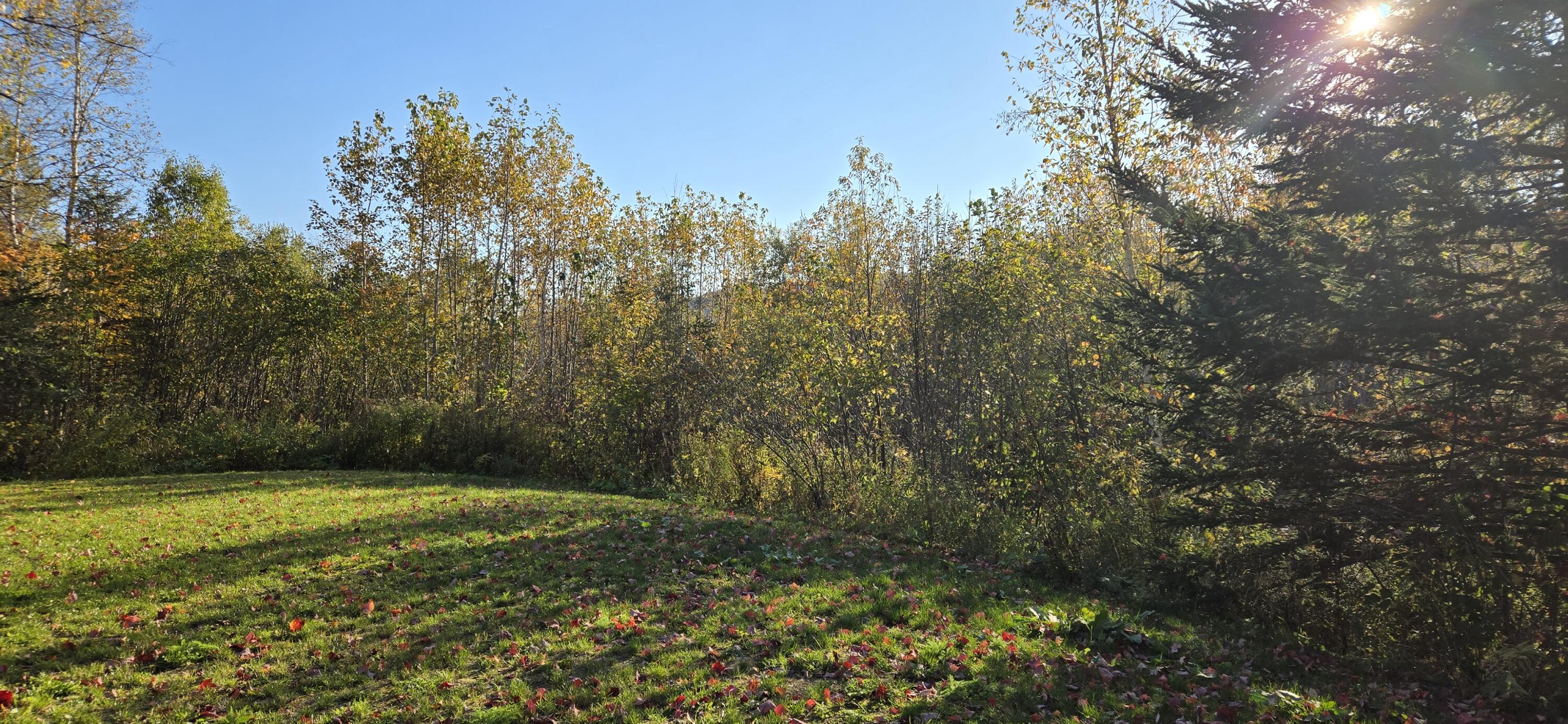 1537 Main Street Saint Francis ME 04774