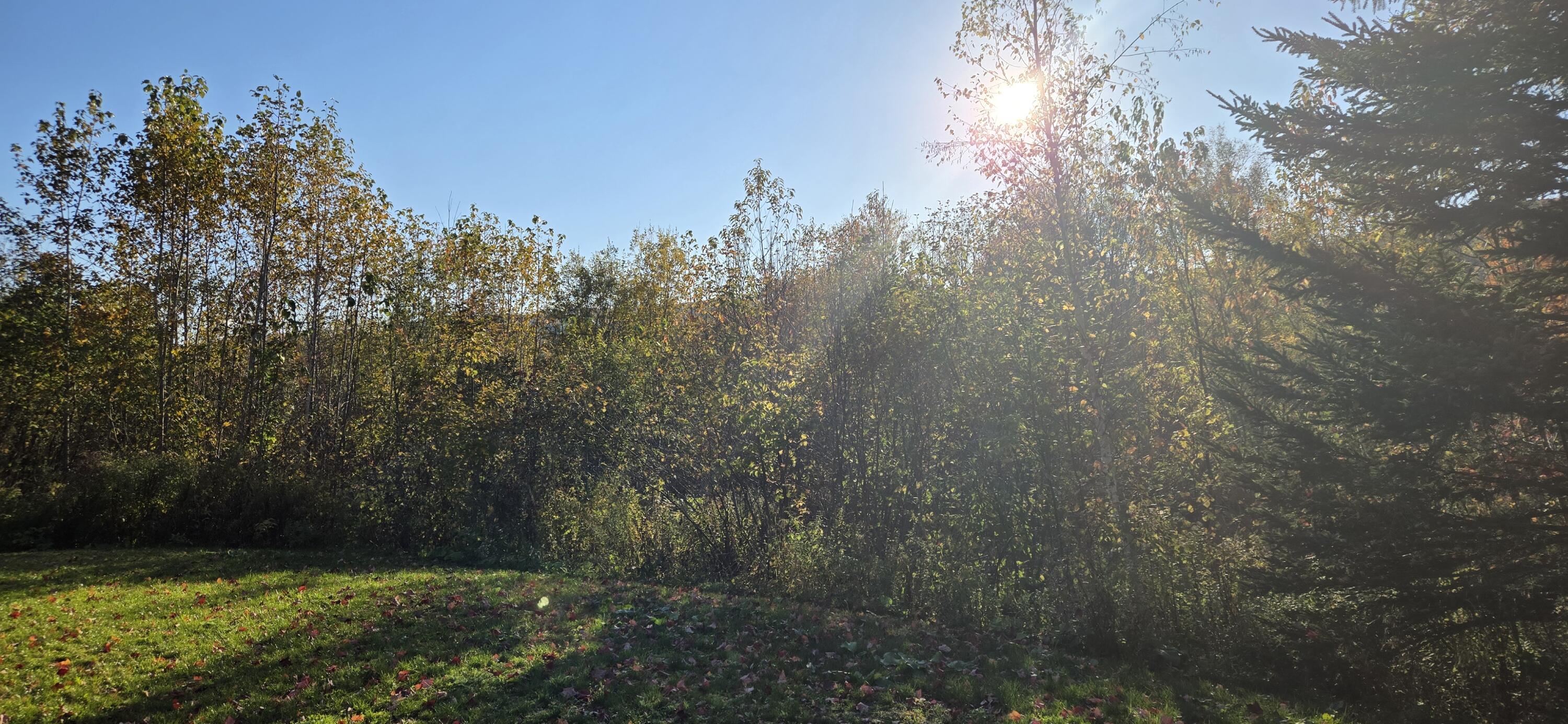 1537 Main Street Saint Francis ME 04774