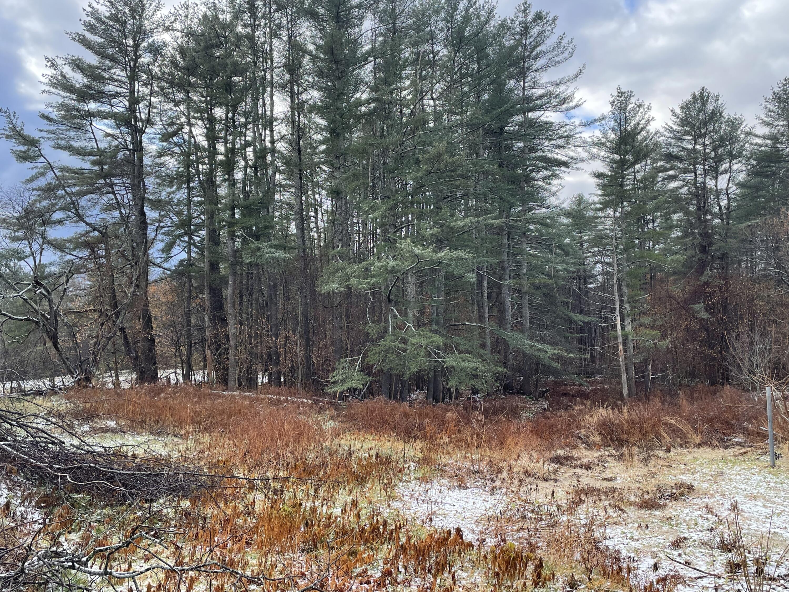 342 Depot Street Wilton ME 04294