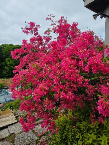 28 Messina Drive Skowhegan ME 04976