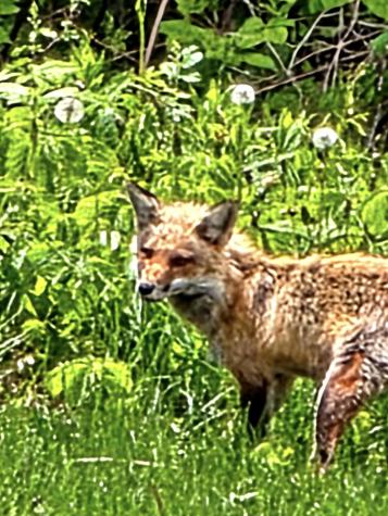 28 Messina Drive Skowhegan ME 04976