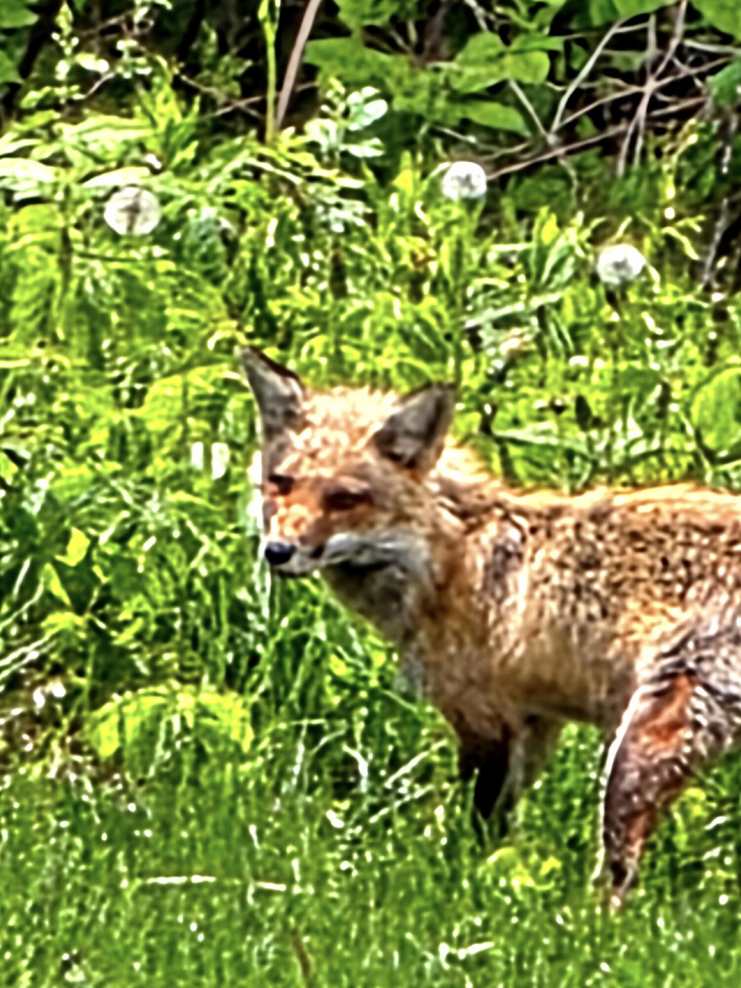 28 Messina Drive Skowhegan ME 04976