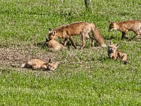 28 Messina Drive Skowhegan ME 04976