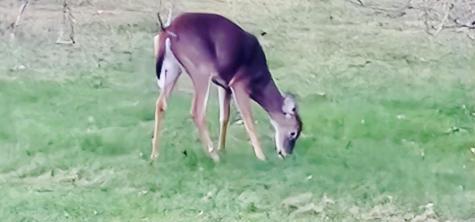 28 Messina Drive Skowhegan ME 04976