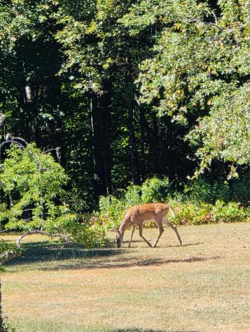 28 Messina Drive Skowhegan ME 04976