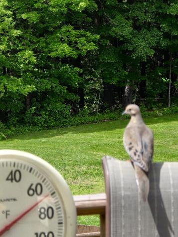 28 Messina Drive Skowhegan ME 04976