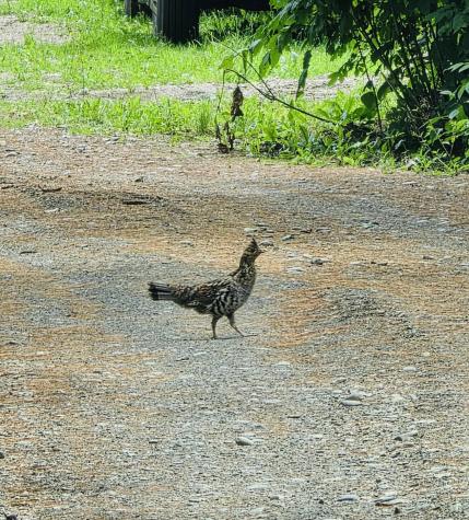 28 Messina Drive Skowhegan ME 04976