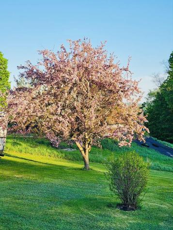 28 Messina Drive Skowhegan ME 04976