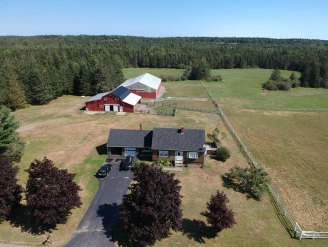 167 Golding Road Perry ME 04667