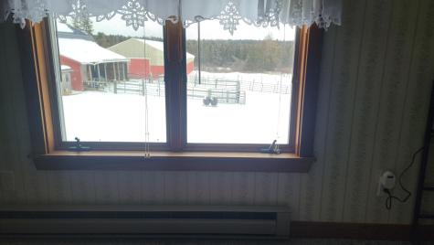 167 Golding Road Perry ME 04667