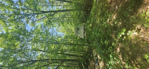 187 Richards Road Benton ME 04901