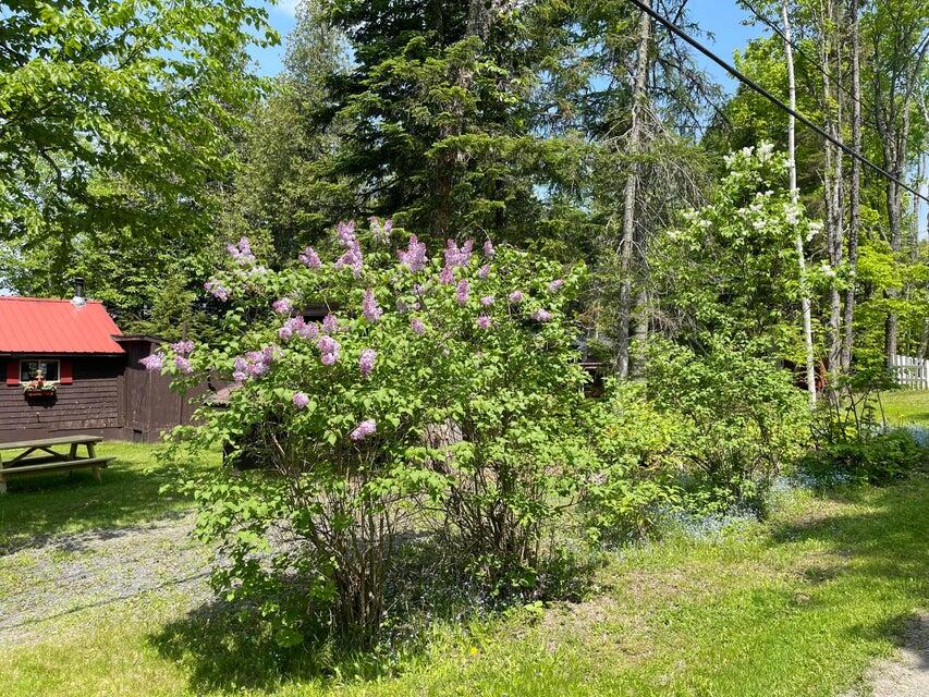 875 S Shore Road Stockholm ME 04783