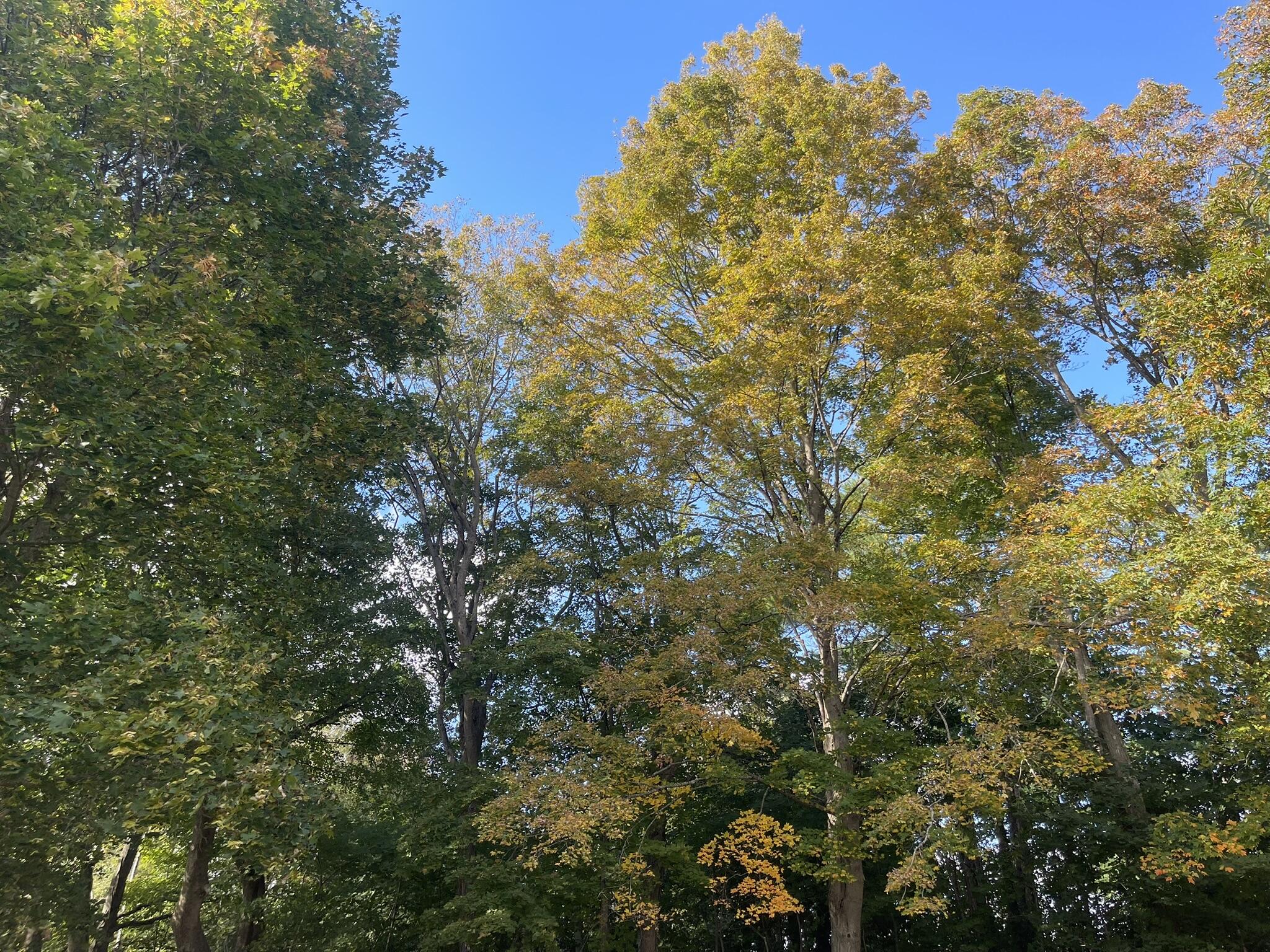 565 River Road Anson ME 04958