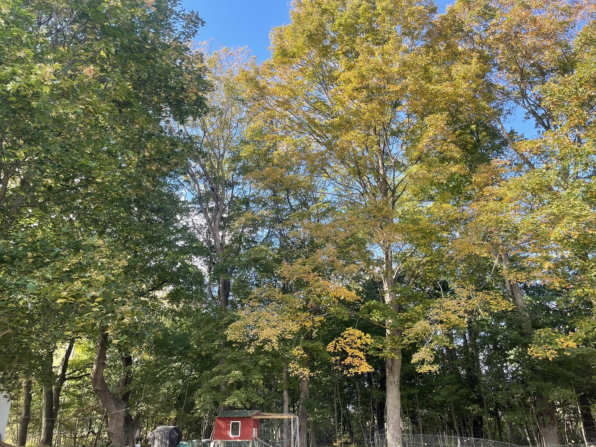 565 River Road Anson ME 04958