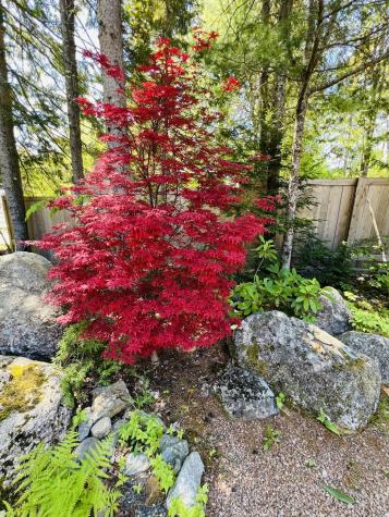 341 Ellsworth Road Blue Hill ME 04614