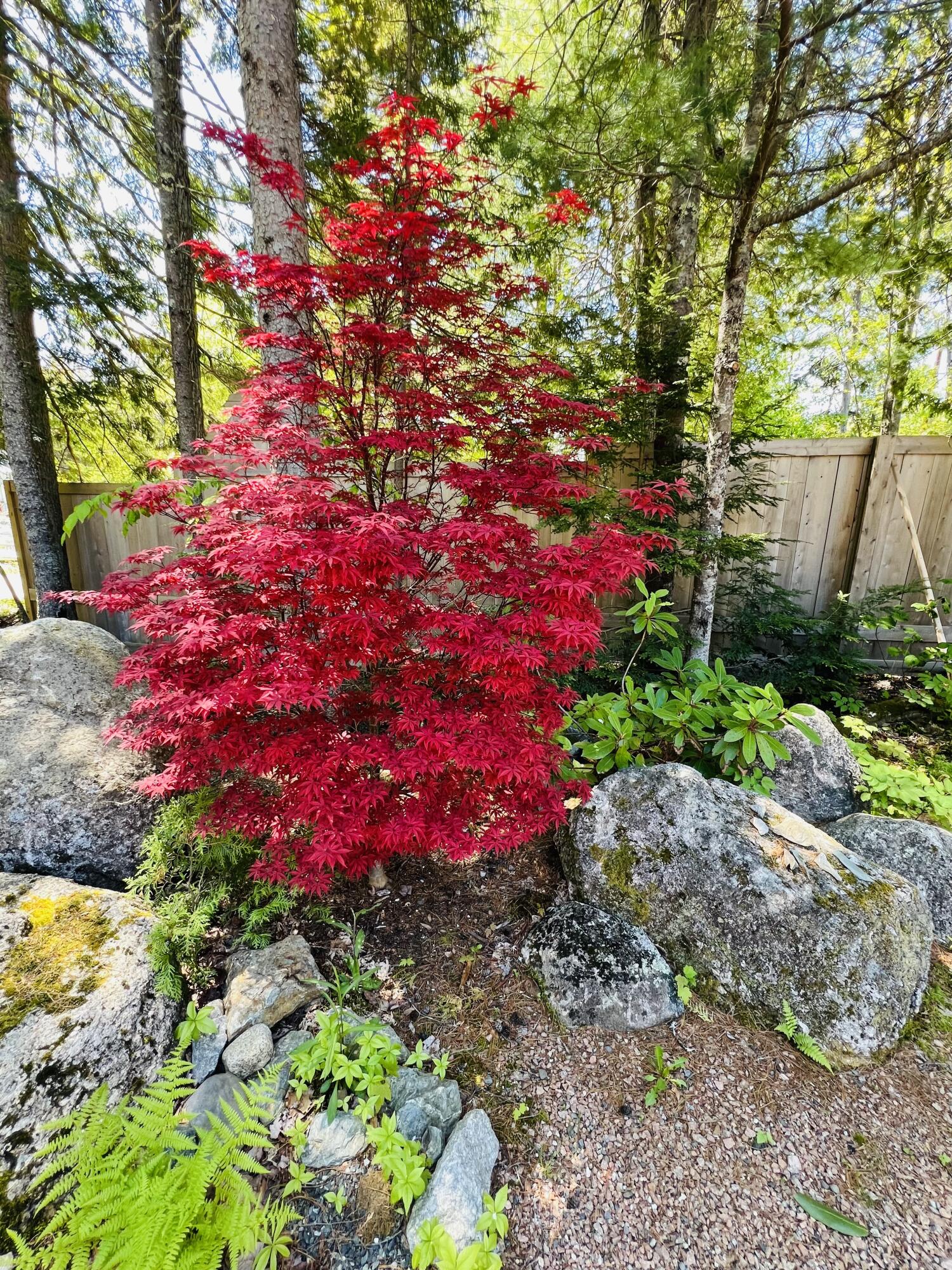 341 Ellsworth Road Blue Hill ME 04614