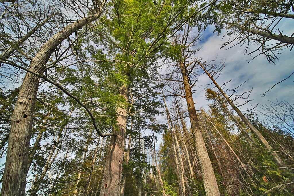 60 Lower Lake Road Danforth ME 04424