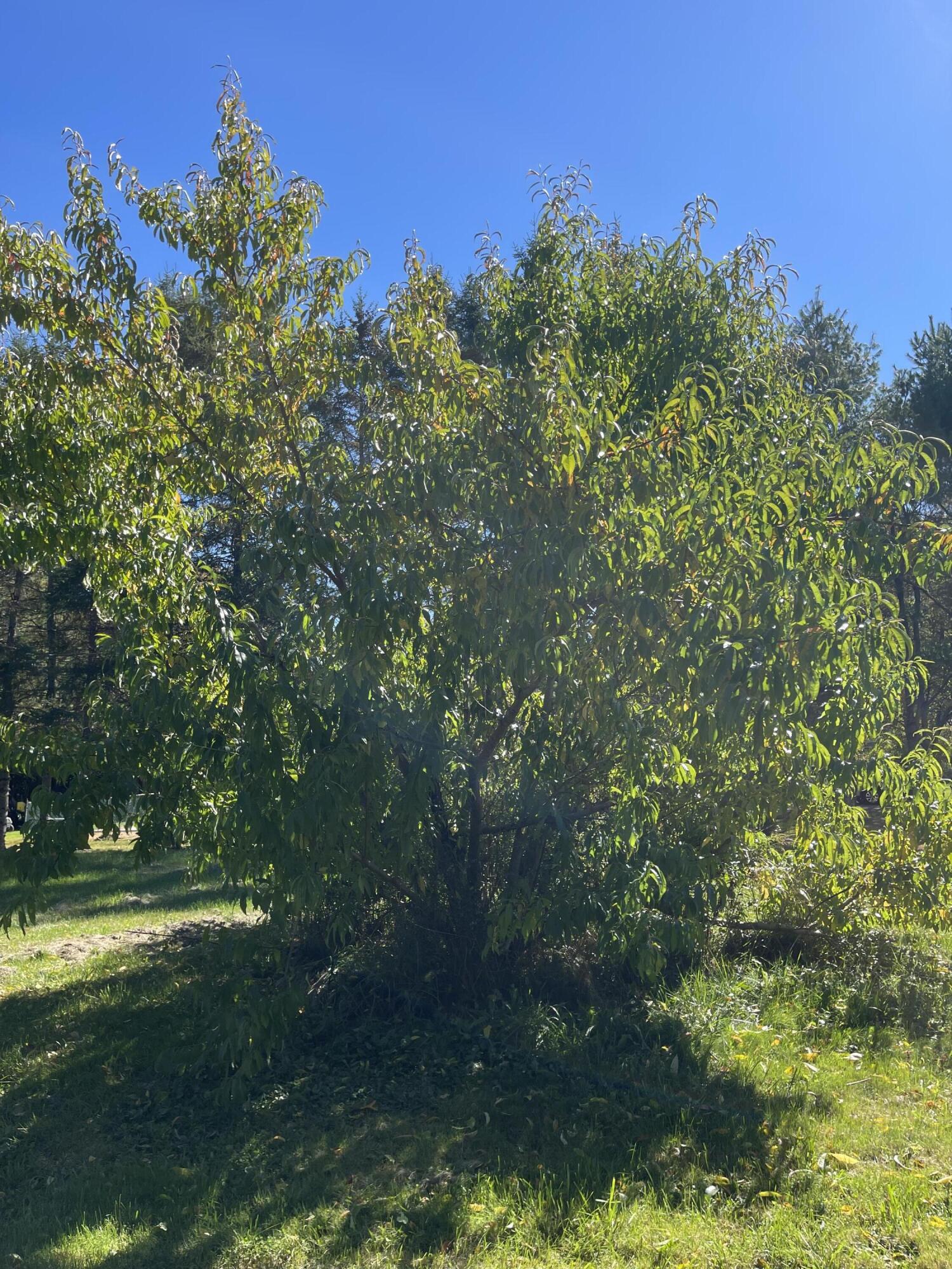 879 Hudson Road Glenburn ME 04401