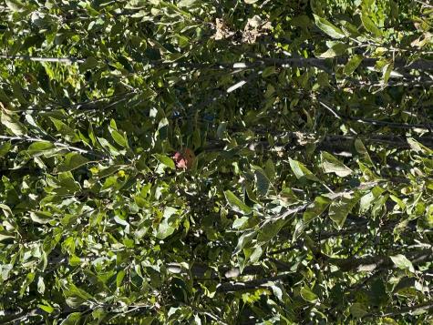 879 Hudson Road Glenburn ME 04401