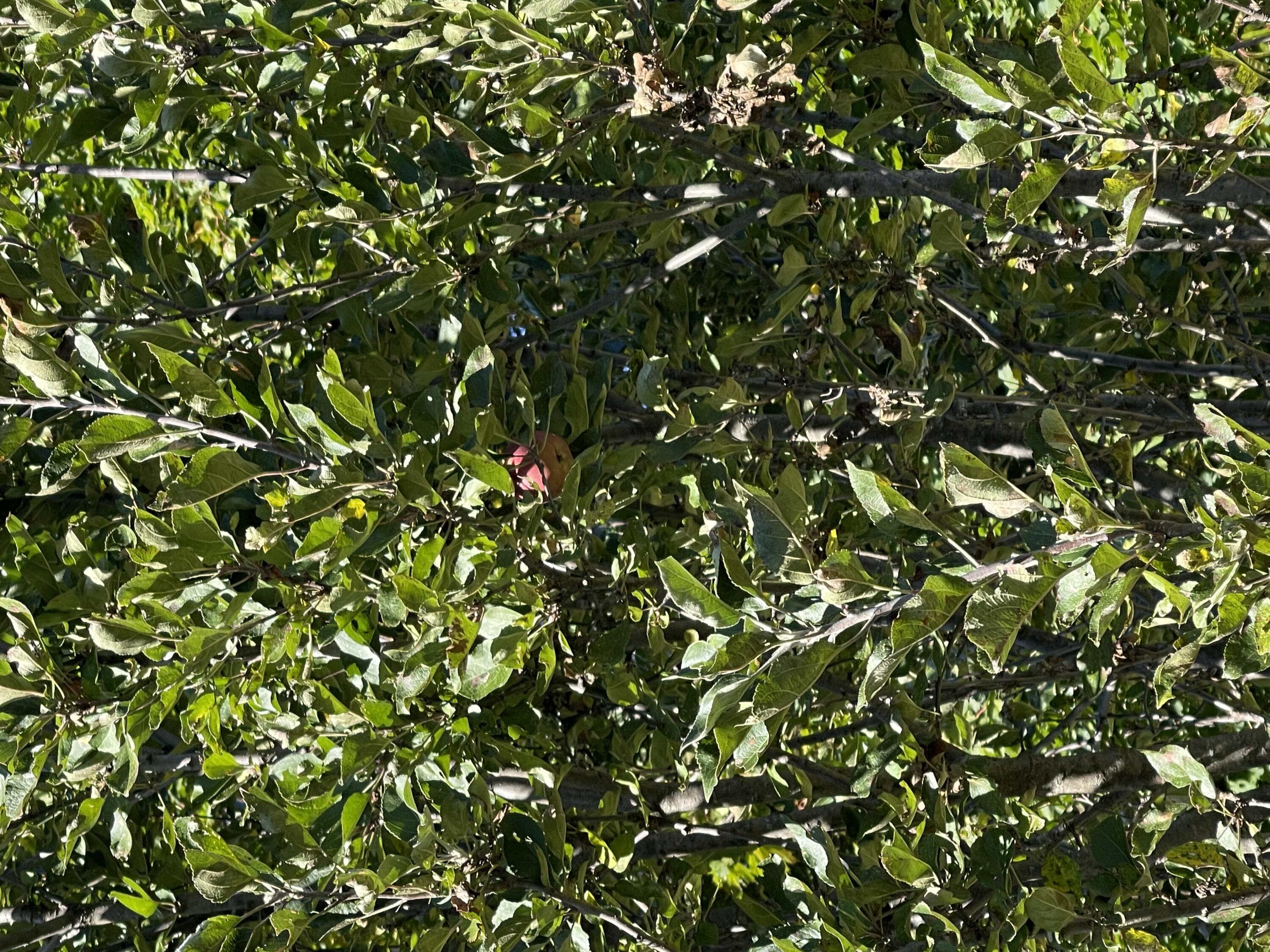 879 Hudson Road Glenburn ME 04401