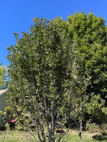 879 Hudson Road Glenburn ME 04401