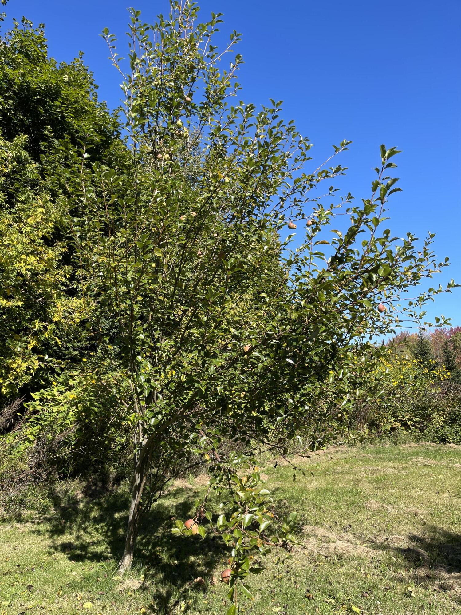 879 Hudson Road Glenburn ME 04401