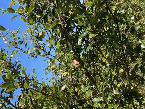 879 Hudson Road Glenburn ME 04401