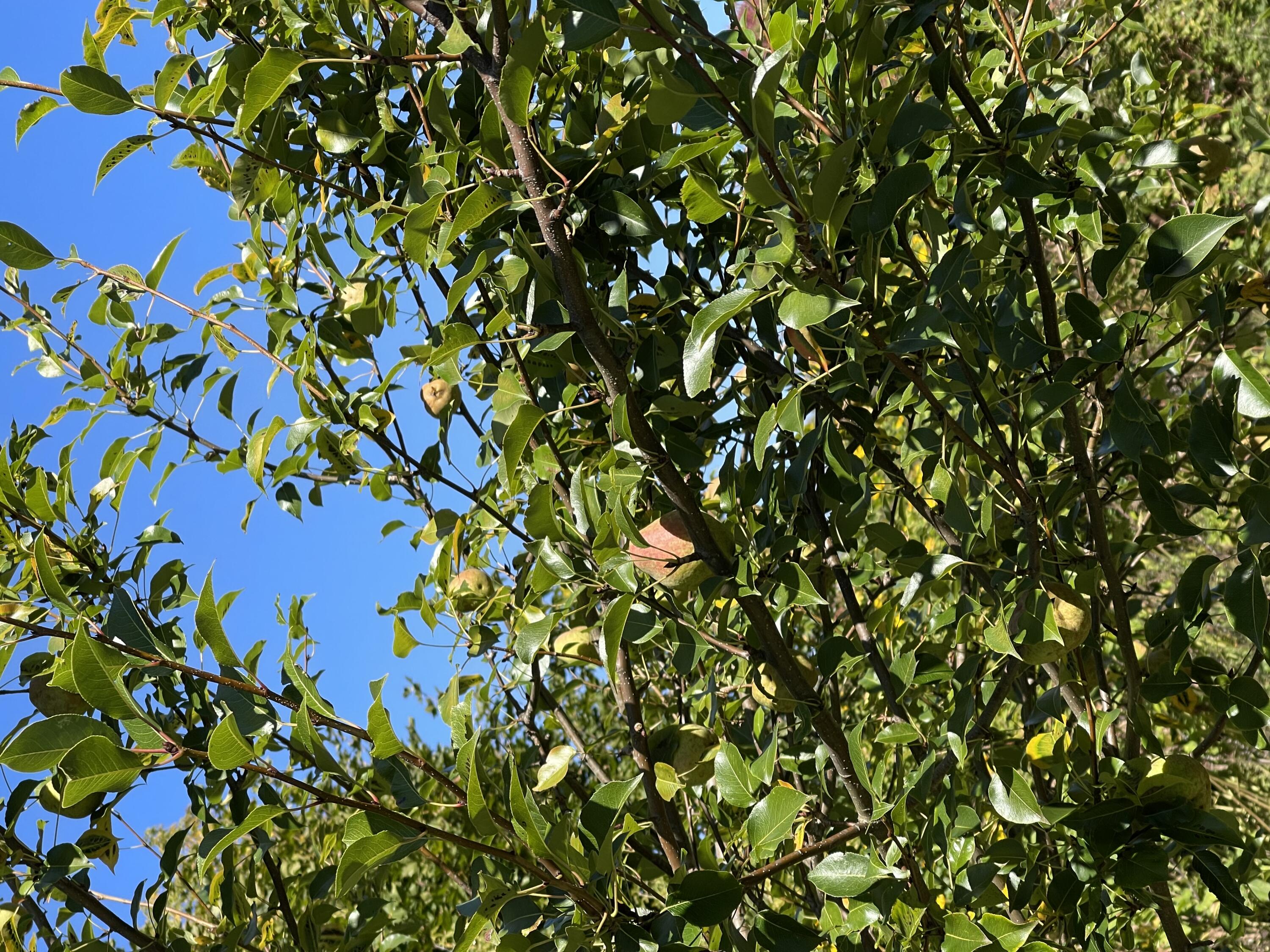 879 Hudson Road Glenburn ME 04401