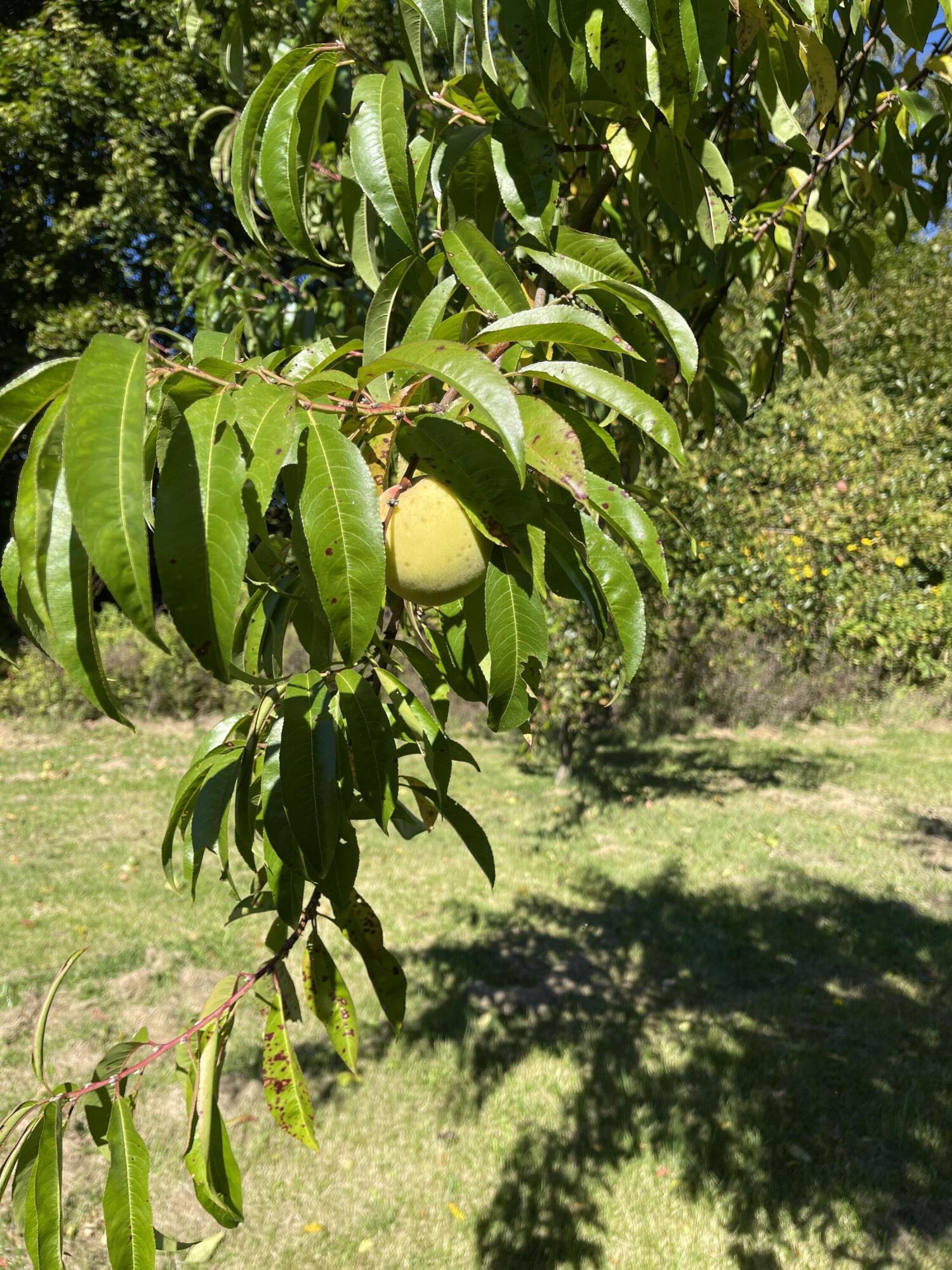 879 Hudson Road Glenburn ME 04401