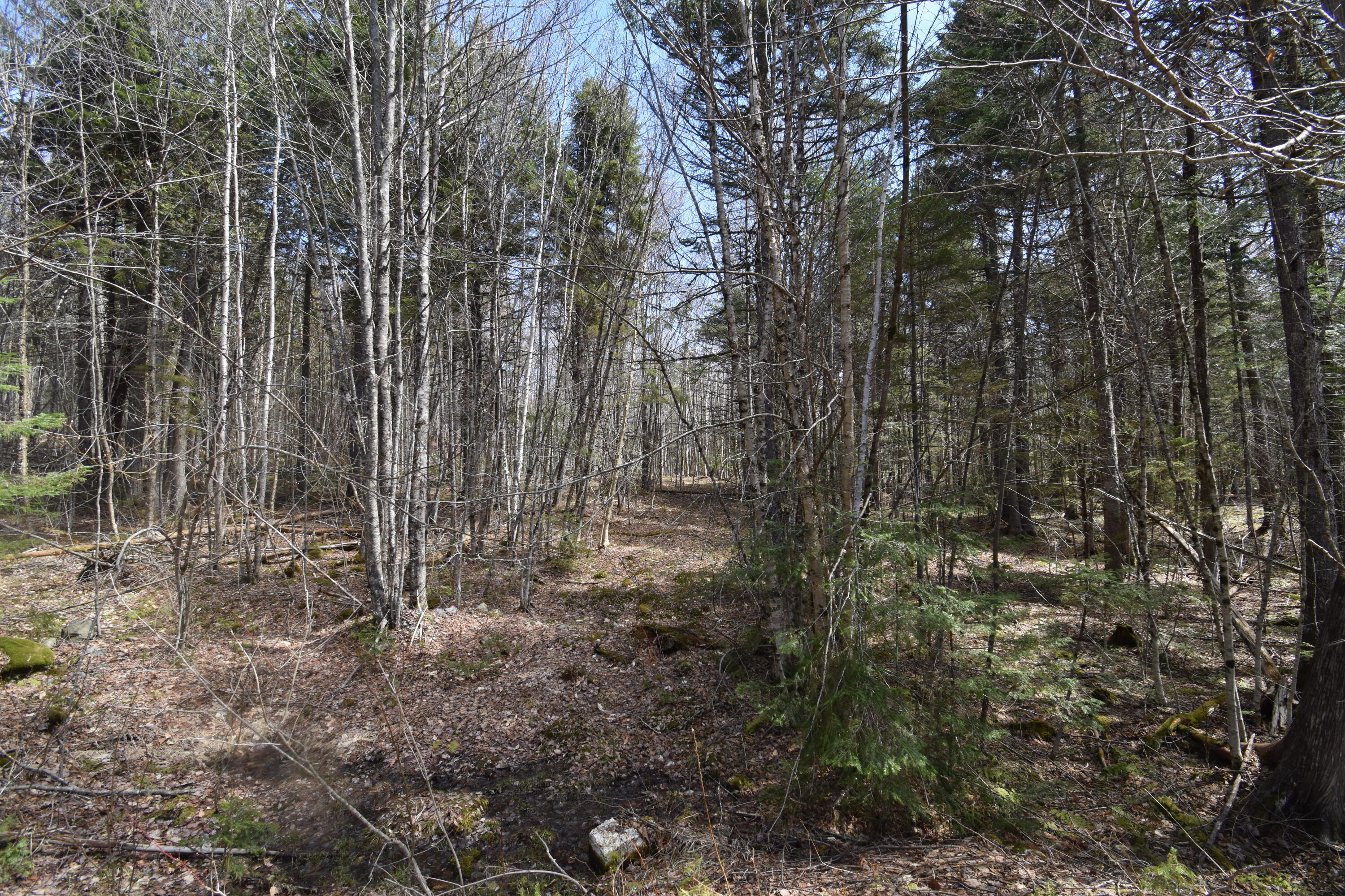 331 Flagstaff Lake Overlook Road Carrying Place Town Twp ME 04961