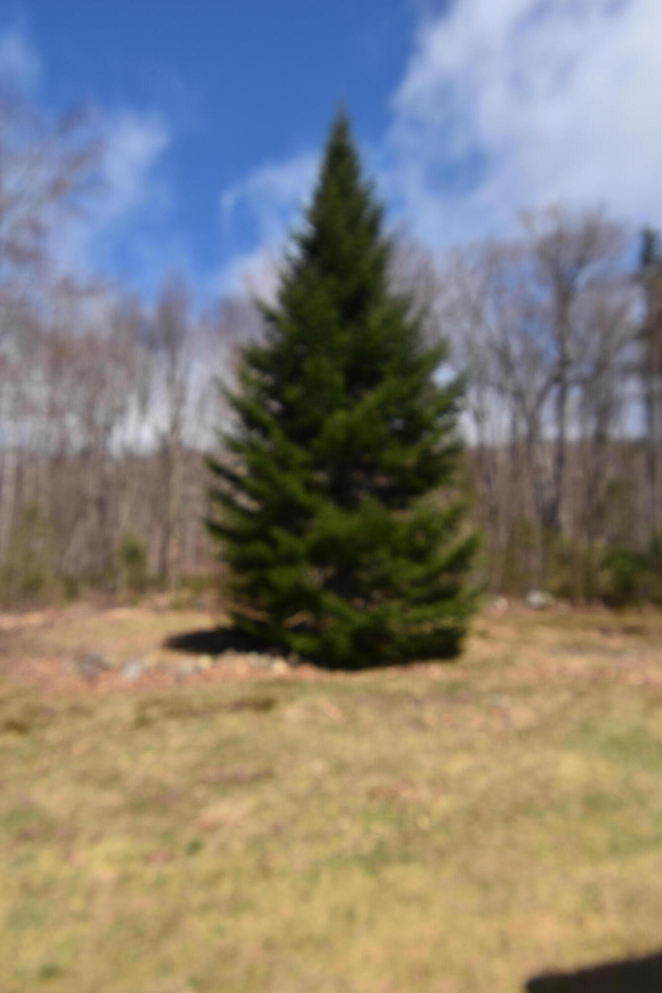 331 Flagstaff Lake Overlook Road Carrying Place Town Twp ME 04961