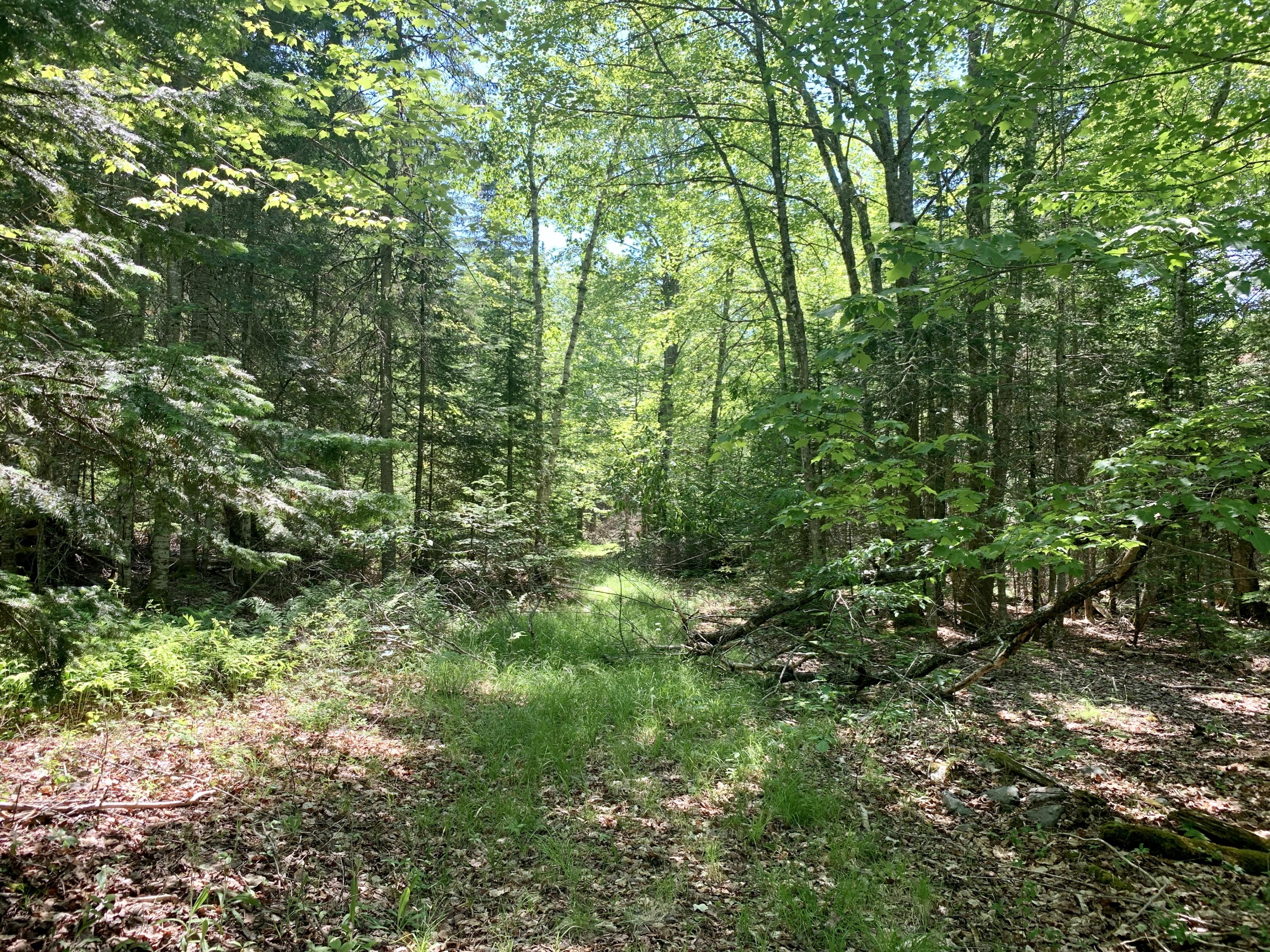 694 River Road Calais ME 04619