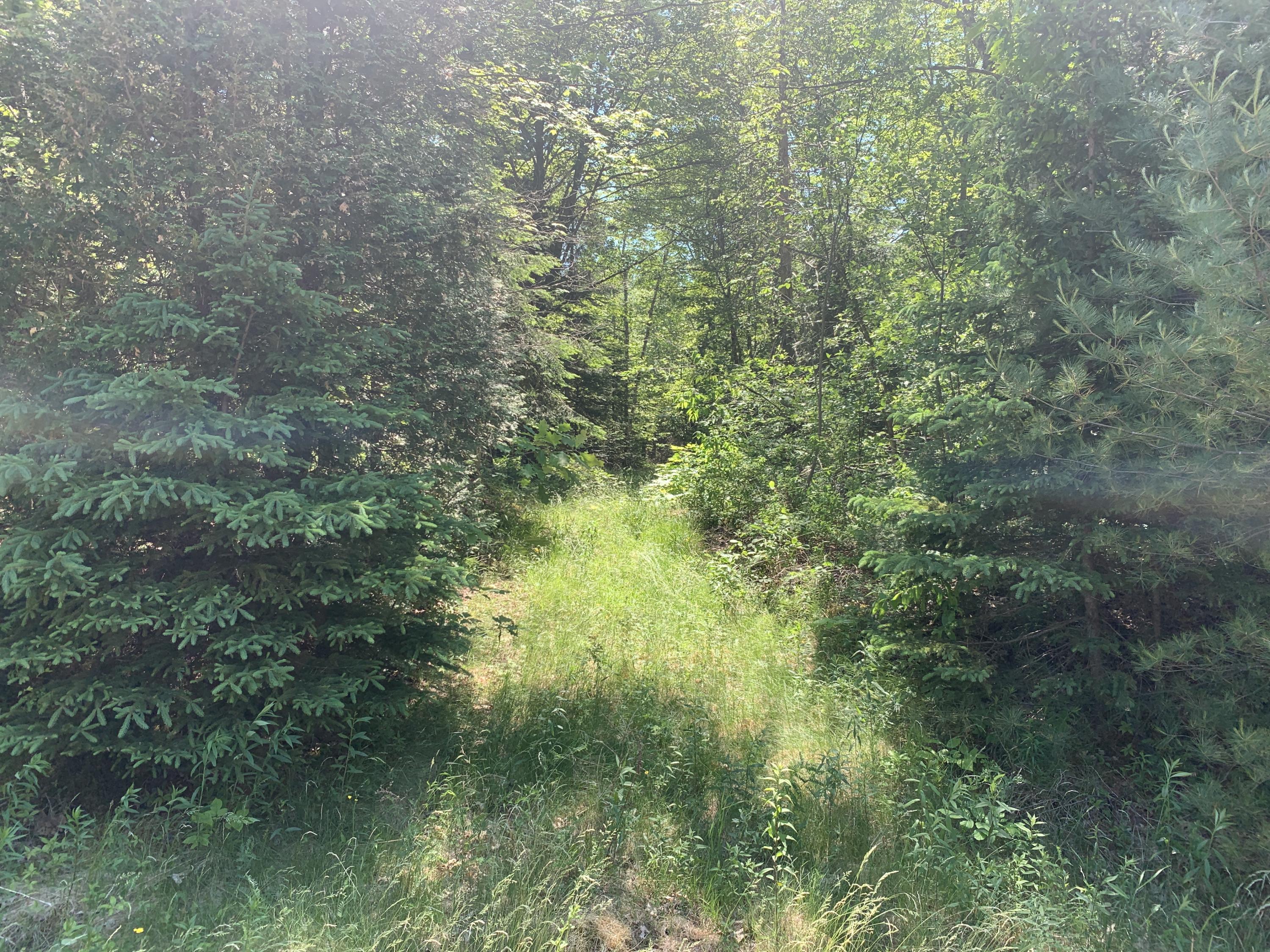 694 River Road Calais ME 04619