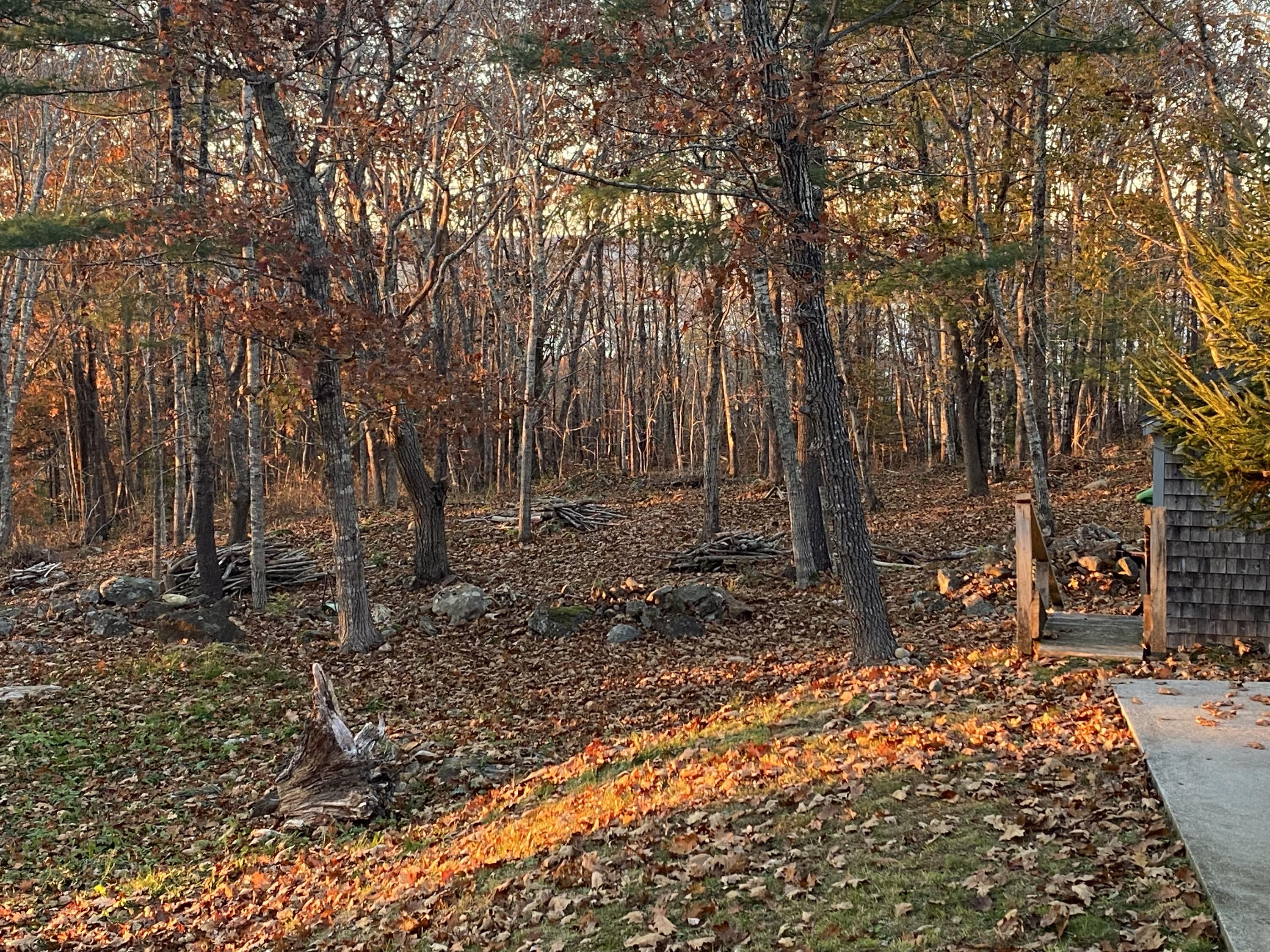 172 N Shore Drive Owls Head ME 04854