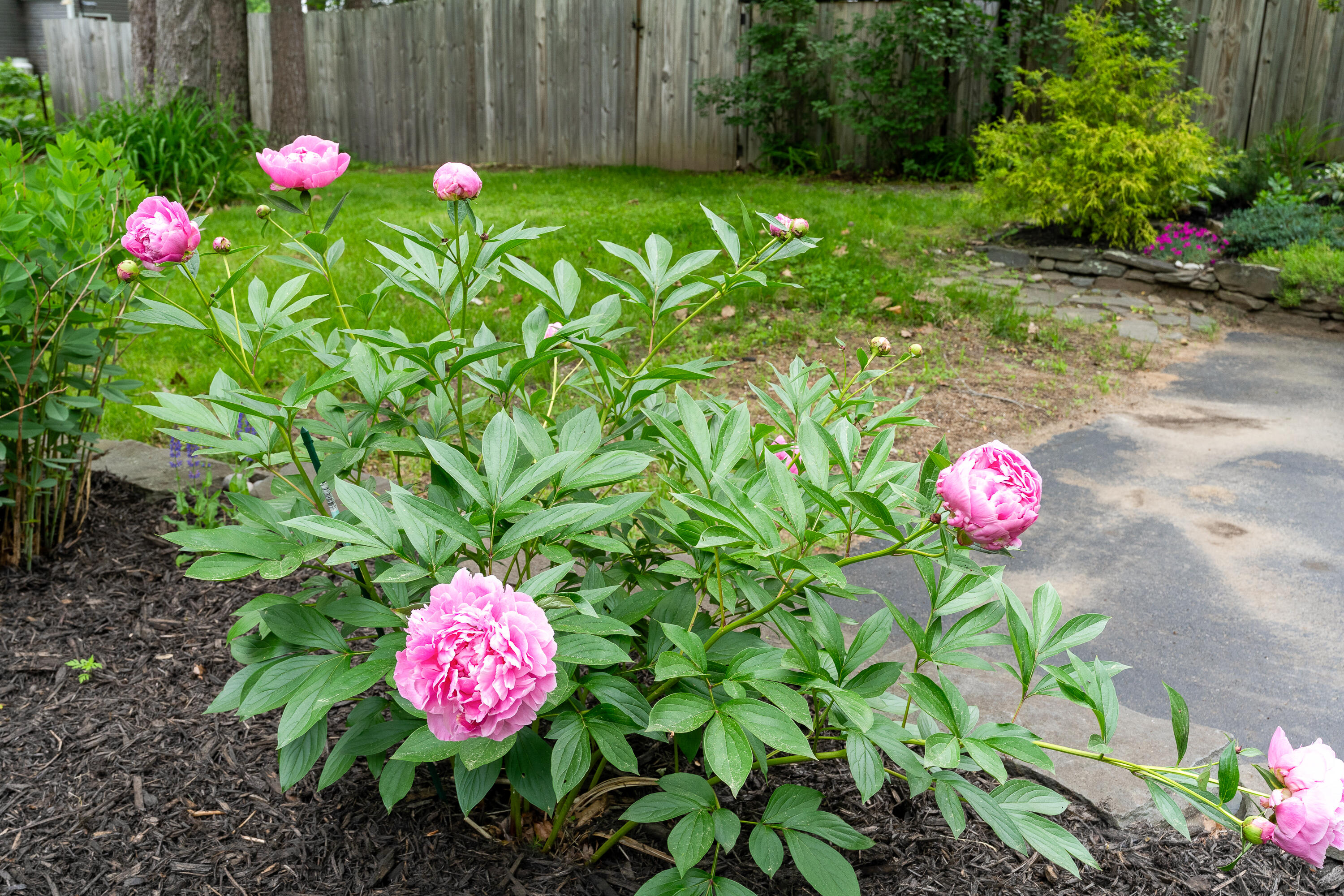 82 Hennessey Avenue Brunswick ME 04011