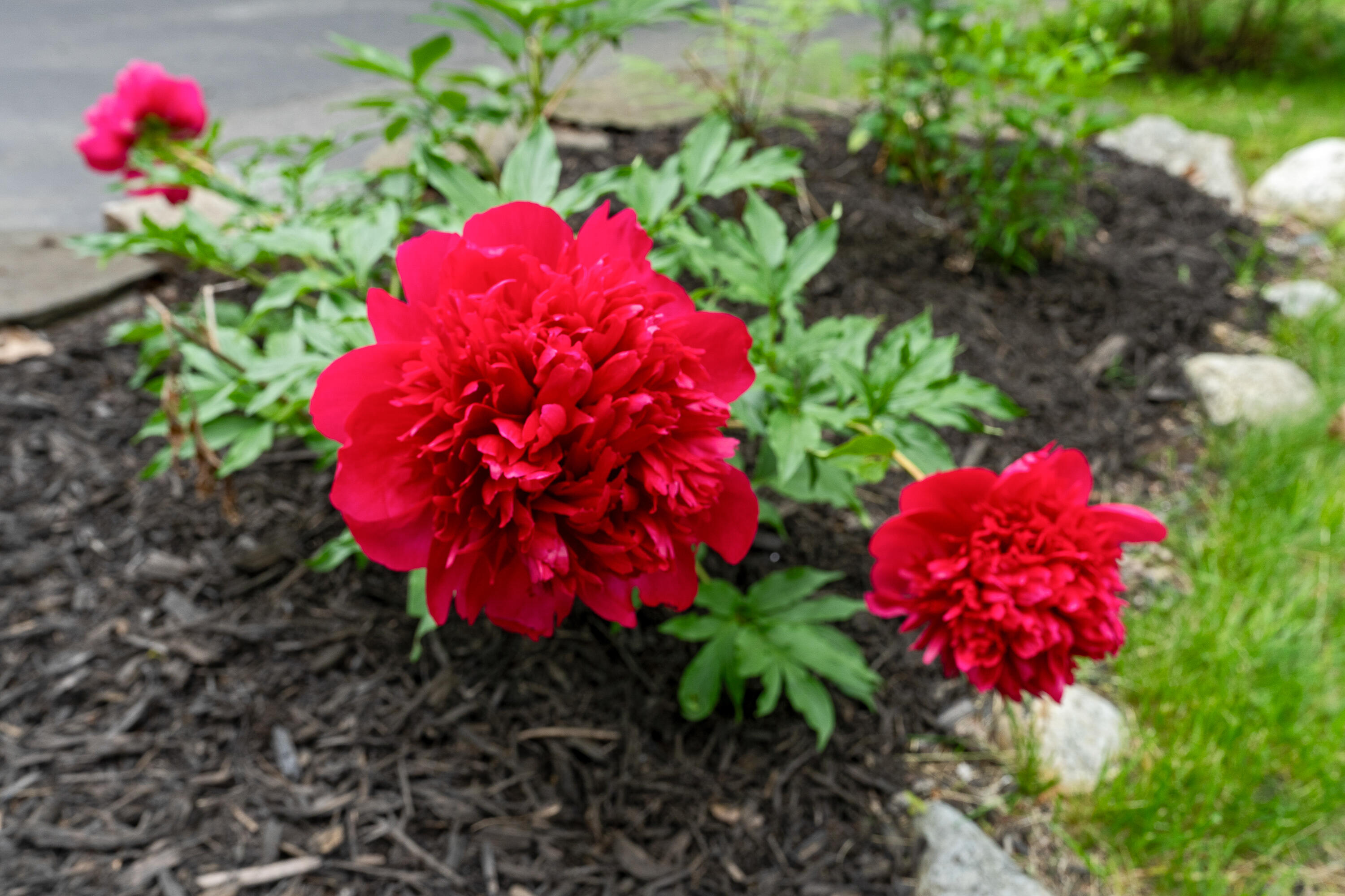 82 Hennessey Avenue Brunswick ME 04011