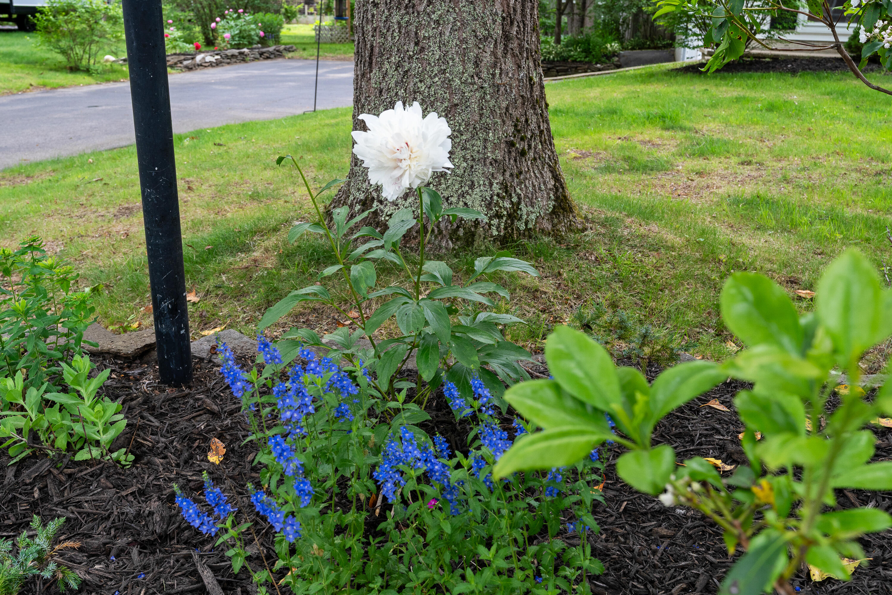 82 Hennessey Avenue Brunswick ME 04011