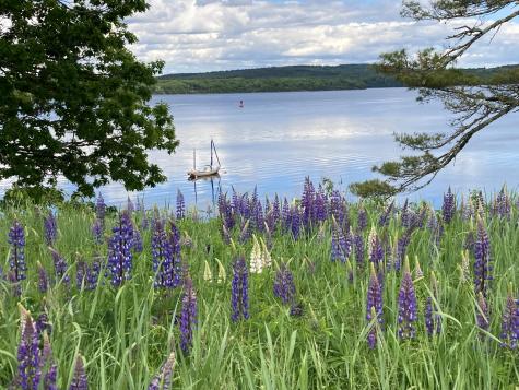 22 Bayview Drive Stockton Springs ME 04981