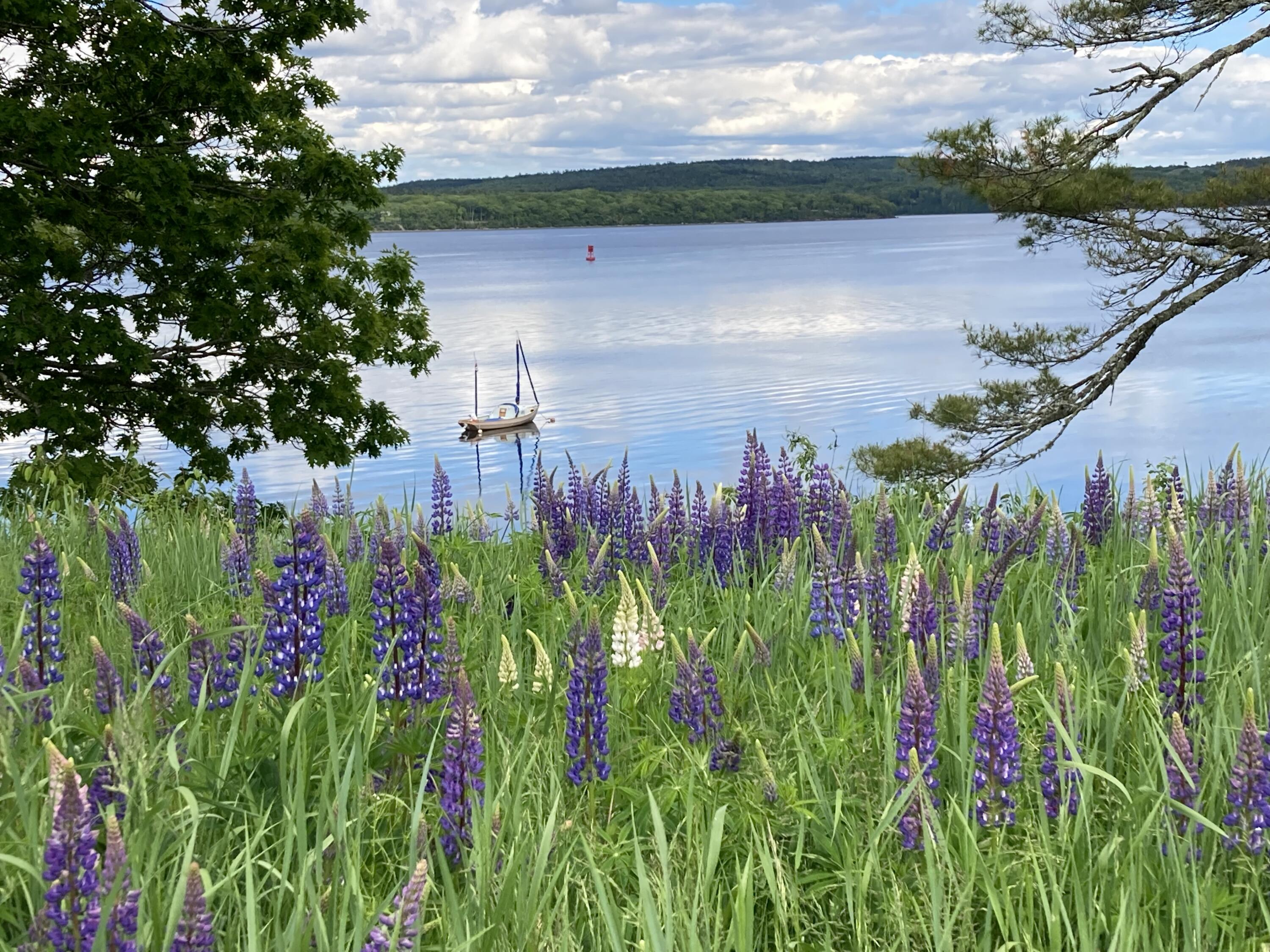 22 Bayview Drive Stockton Springs ME 04981