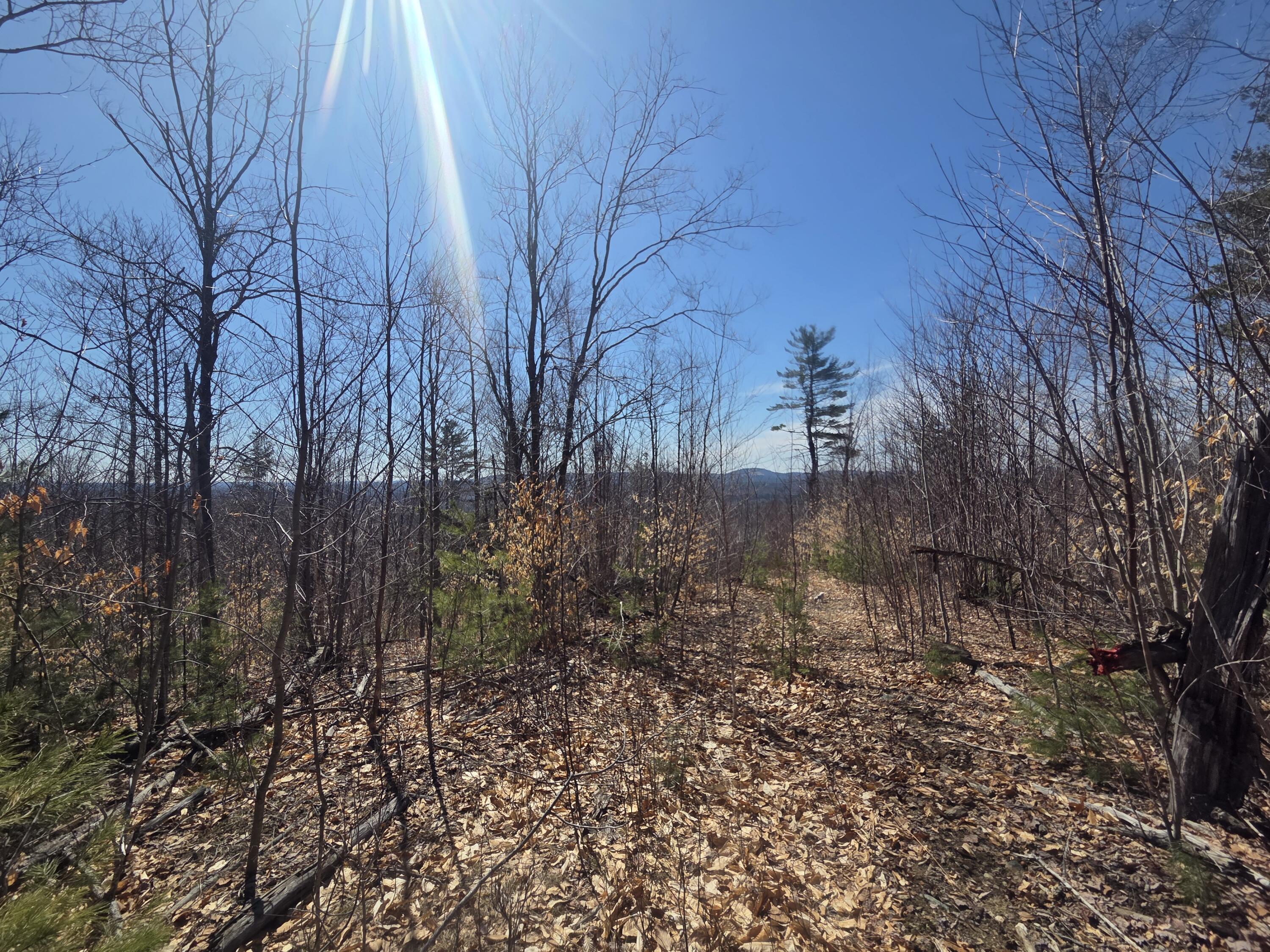 1022 Orchard Drive Wilton ME 04294