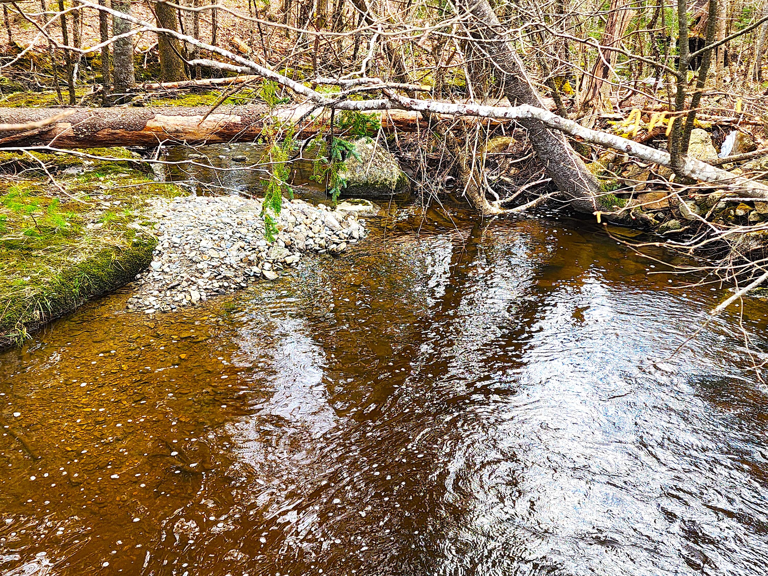 10 Goose River Estates Swanville ME 04915