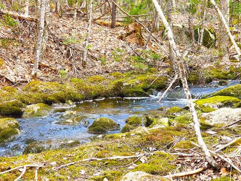 10 Goose River Estates Swanville ME 04915