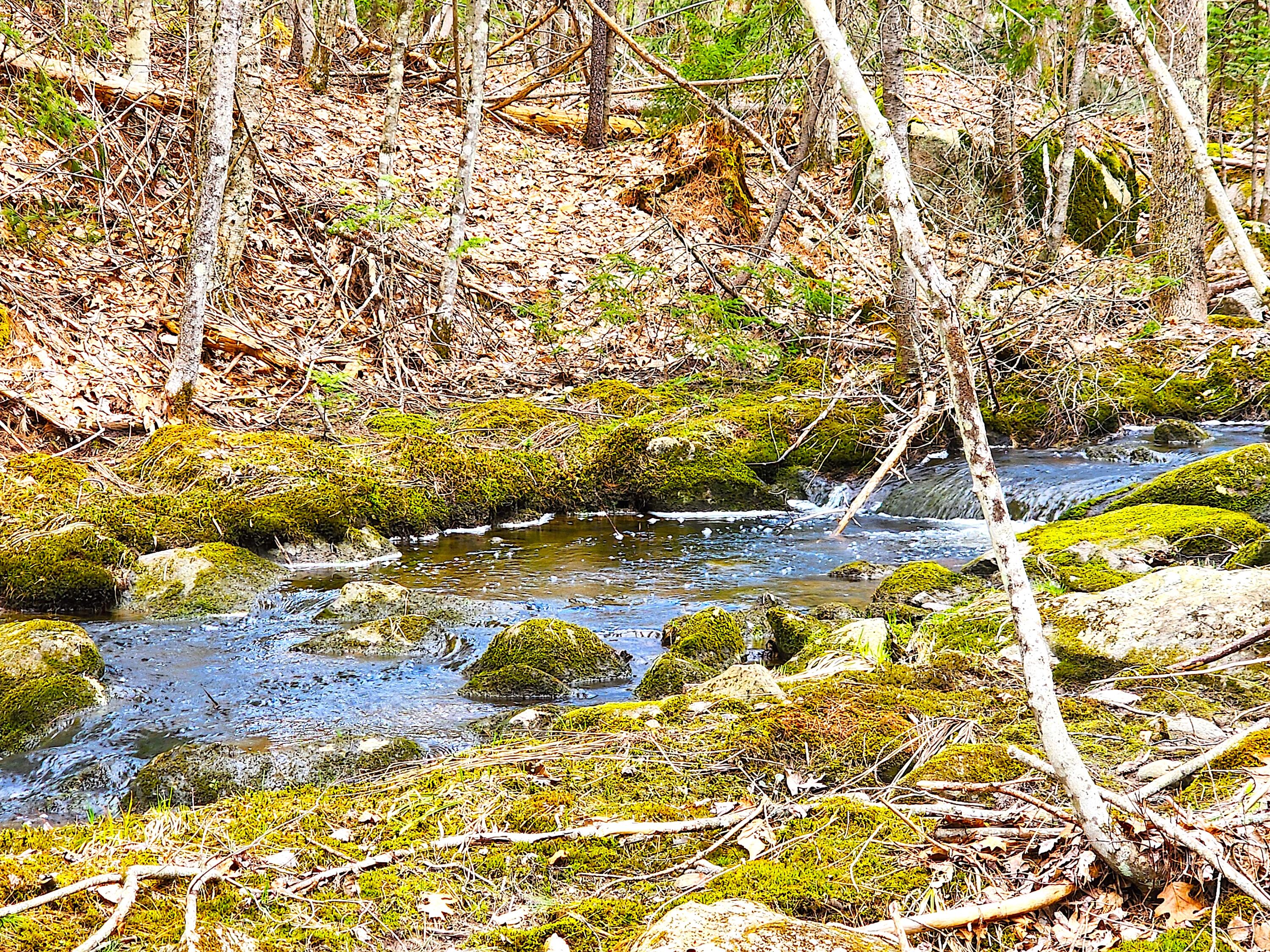 10 Goose River Estates Swanville ME 04915